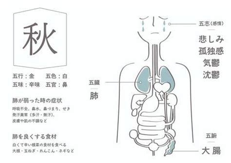 秋五行|秋（汉语文字）